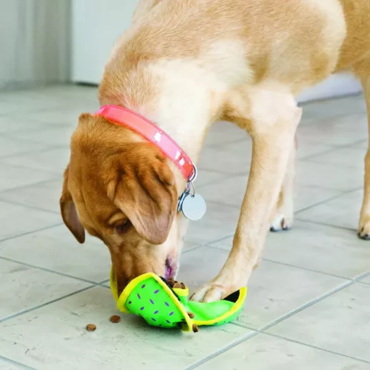 KONG Ballistic Hide’n Treat - Imagen 4