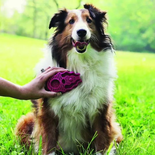 Kong Dog Zoomgroom - Imagen 5