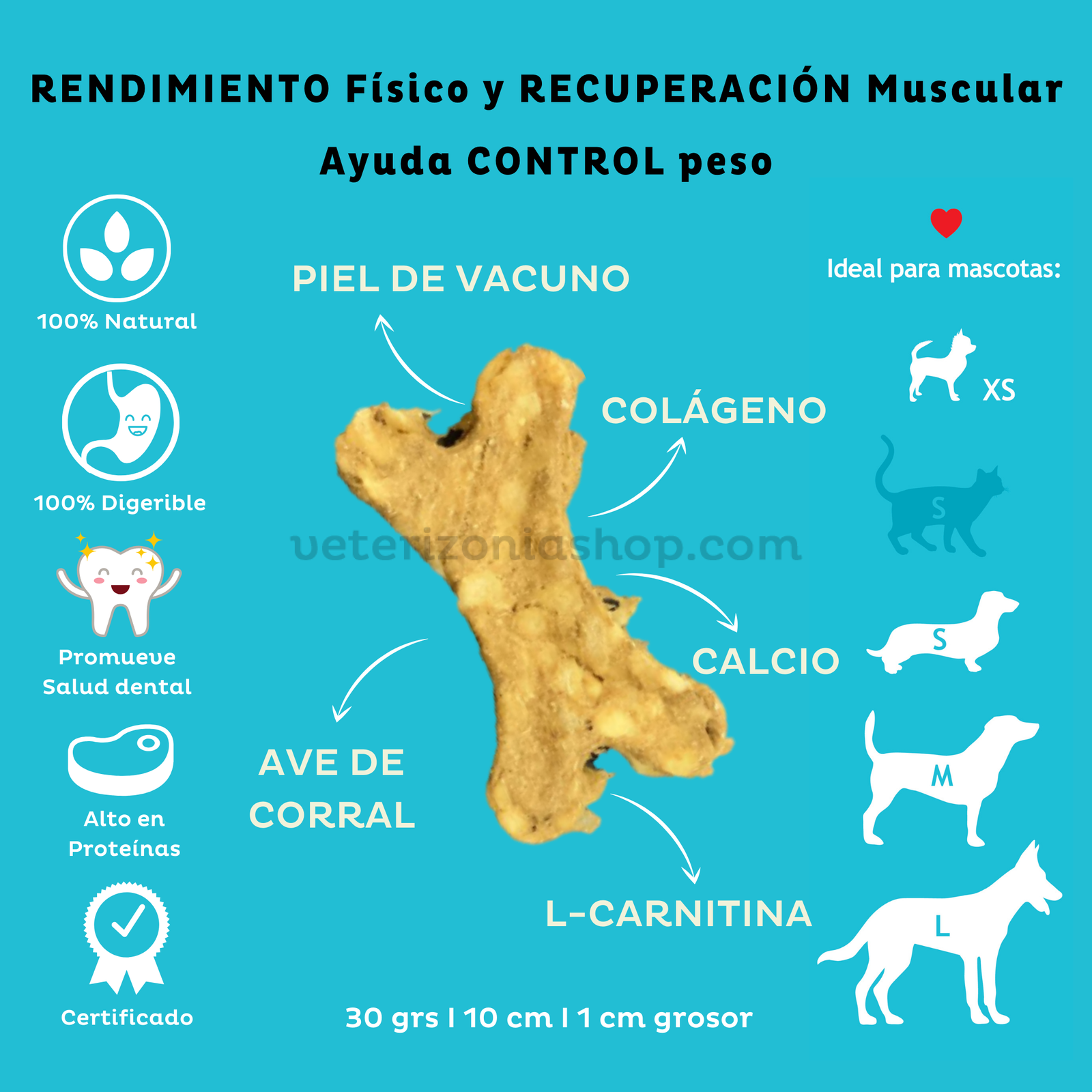 Hueso Funcional de L-carnitina - Imagen 2