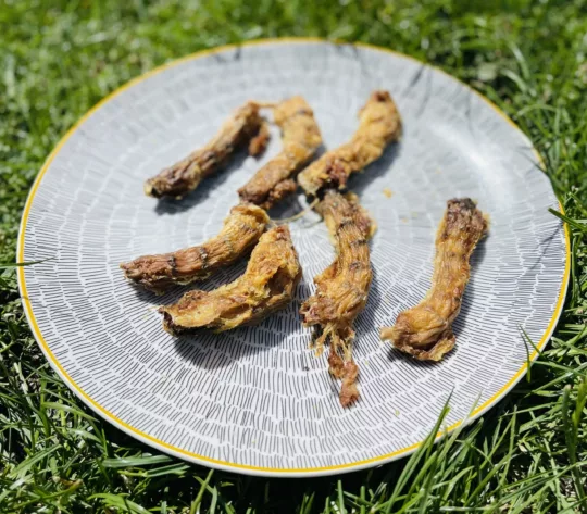 Cuellos de pollo