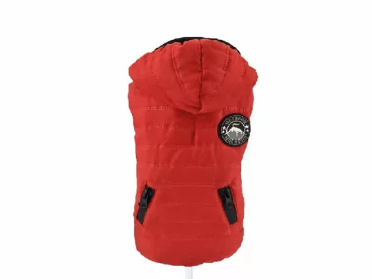 Chaqueta Roja Casual Talla 25