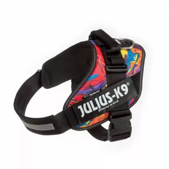Julius Arnés IDC Psico BBY 1