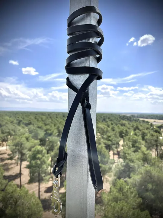 Correa de cuero Arppe - Imagen 3