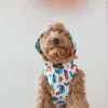 Chubasquero reversible The Singing in the Rain - Imagen 2