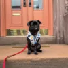 Chubasquero reversible The Singing in the Rain - Imagen 6