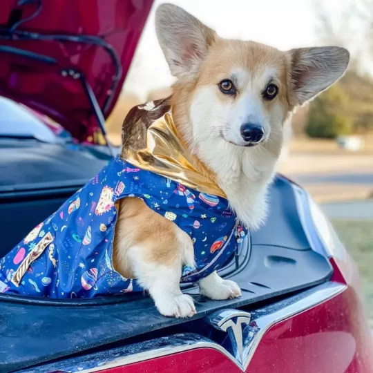 Chubasquero reversible Outta this World - Imagen 4