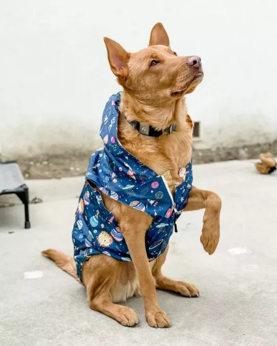 Chubasquero reversible Outta this World - Imagen 11