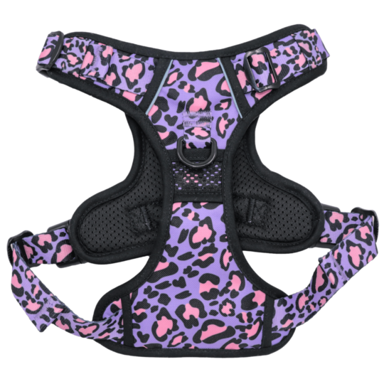 Arnés Todoterreno Animal Print Morado - Imagen 5