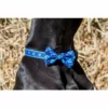Collar con pajarita Cuadros Azules - Imagen 4