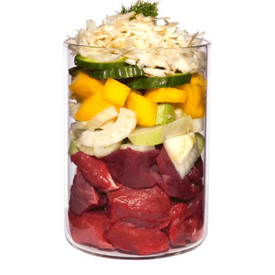 Terra Canis light buey con calabaza y mango - Imagen 2