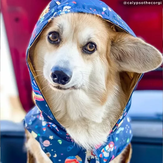 Chubasquero reversible Outta this World - Imagen 17