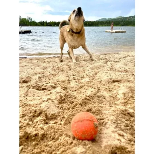 SodaPup Pelota Smile Soda Pup talla M - Imagen 3
