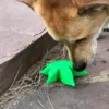 SodaPup Mordedor hoja María - Imagen 6