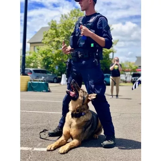SodaPup USA K-9 Granada con cuerda - Imagen 2