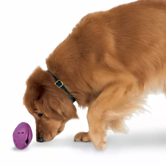 Dispensador Ovni Busy budy - Imagen 2
