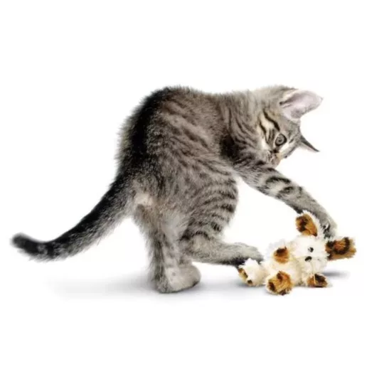 Conejo Kong Softies con Catnip - Imagen 2