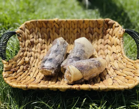 Hueso relleno de tuetano - Imagen 3