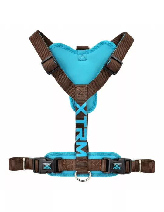 X-trm Arnés Marrón y Azul