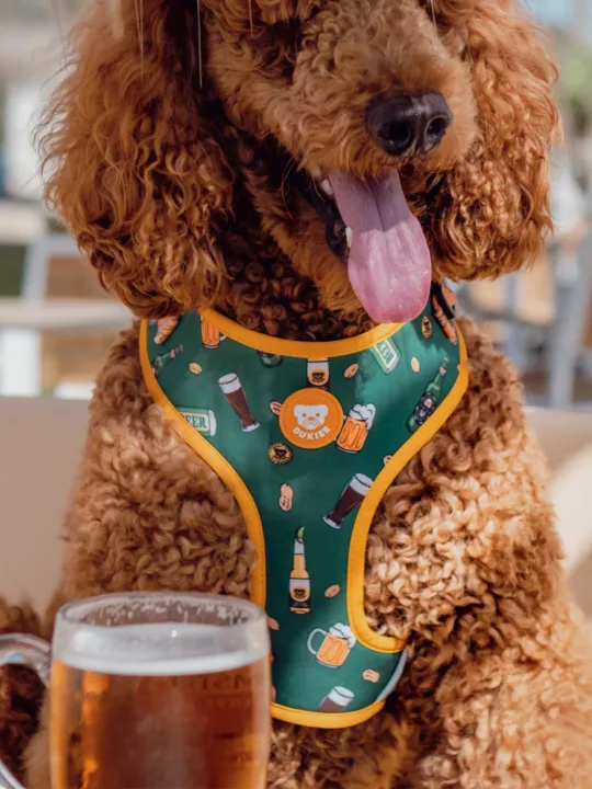 Dukier Arnés Ajustable Beers - Imagen 5