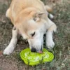 Sodapup Etray Bullfrog - Imagen 2