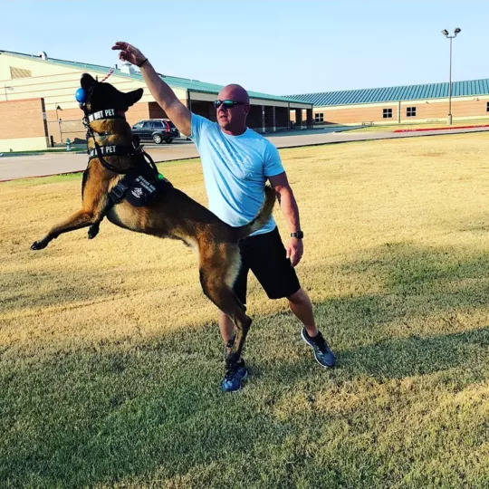 Sodapup USA-K9 Cherry Bomb - Imagen 5