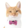 Collar y Pajarita de Gato Butterfly - Imagen 2