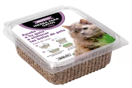 Bandeja Hierba para Gatos - Imagen 2
