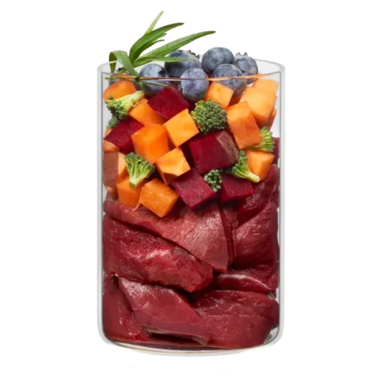 Terra Canis Menú Ragout de  Buey y Brócoli - Imagen 2