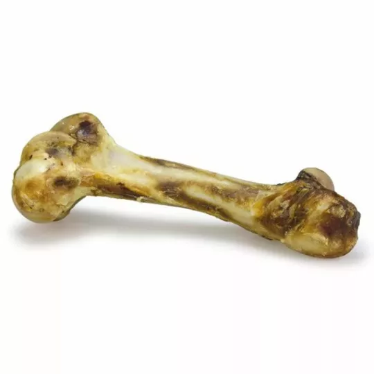 Hueso de Mamut