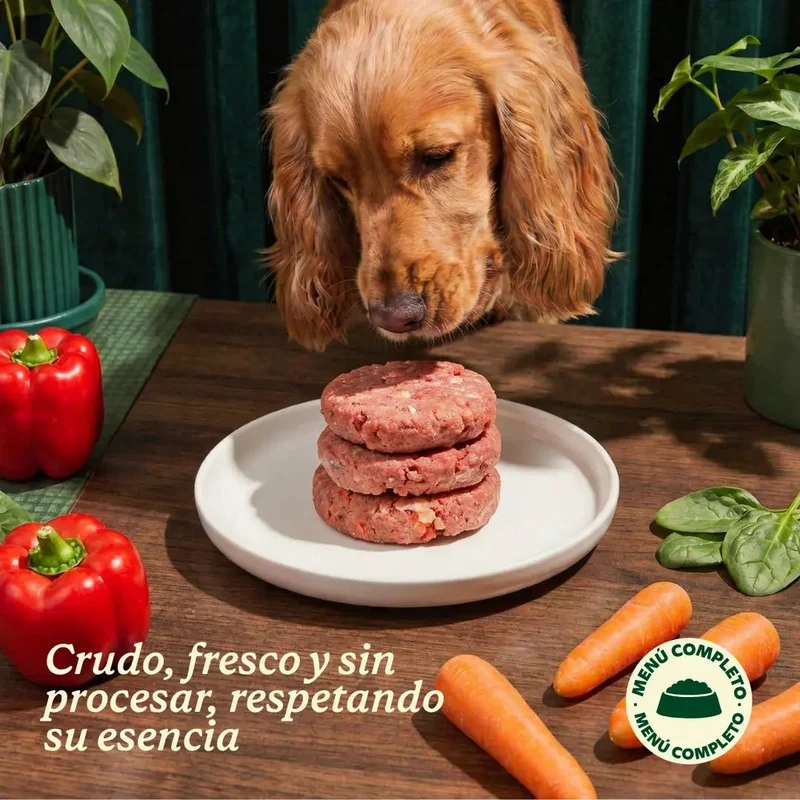 Wild Balance Pollo Crudo - Imagen 6