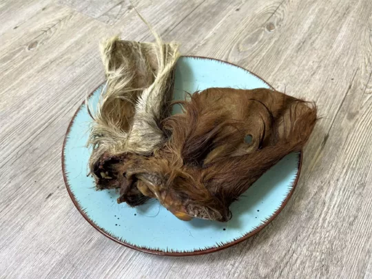Oreja de Vacuno con pelo XXL - Imagen 2