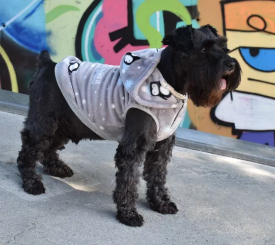 Sudadera con Capucha Penguin - Imagen 2