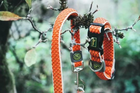 Collar Hunter Panal Naranja - Imagen 2