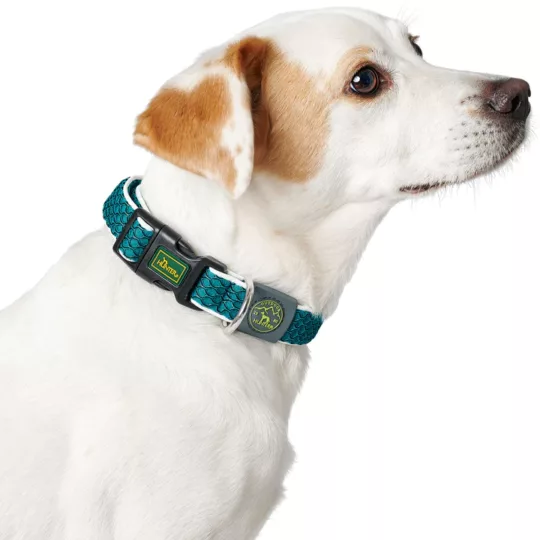 Collar Hunter panal turquesa - Imagen 3