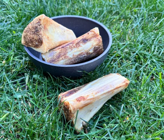 Hueso de Tibia relleno