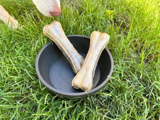 Hueso de piel relleno de Nervio de Búfalo15cm - Imagen 2