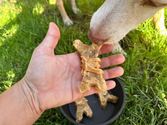 Hueso de Colágeno cubierto de pollo - Imagen 3
