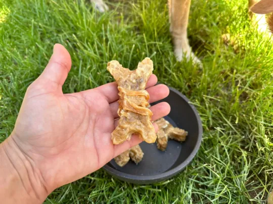 Hueso de Colágeno cubierto de pollo - Imagen 5