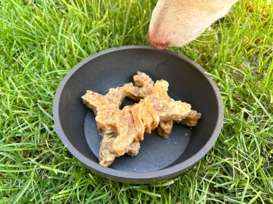 Hueso de Colágeno cubierto de pollo - Imagen 4