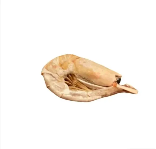 Gambas deshidratadas - Imagen 3