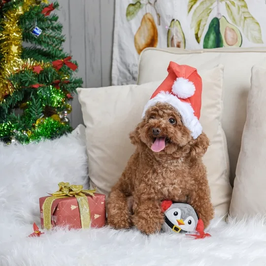 Pelota Pingüino con sorpresa Hugsmart - Imagen 4