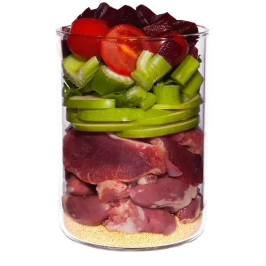 Terra Canis Classic Pollo 400gr - Imagen 2