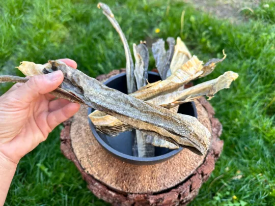 Tiras de Piel de Salmón