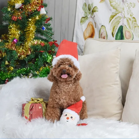 Pelota Papa Noel con sorpresa Hugsmart - Imagen 4