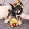 Peluche Espantapájaros Rellenable HugSmart - Imagen 4