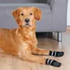 Calcetines para perros - Imagen 2