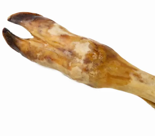 Pie de Ternera
