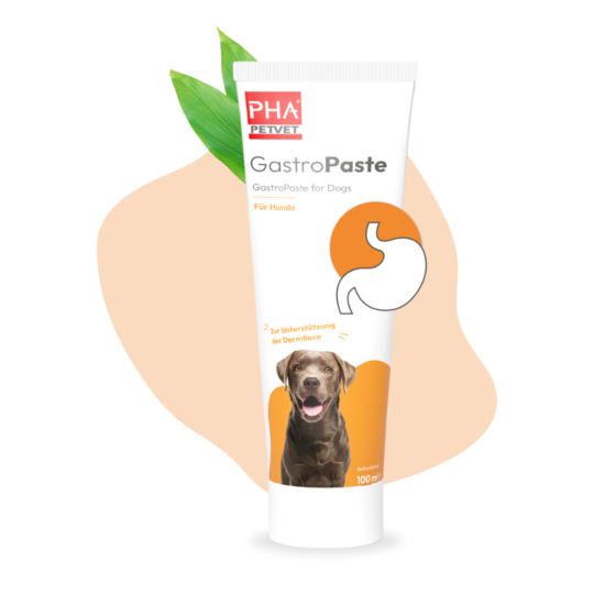 Gastro Paste para perros 100ml