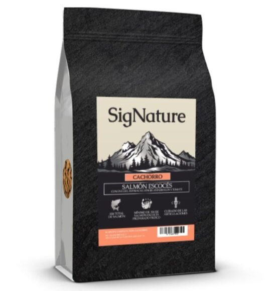 Signature Superfood Cachorro Salmón Escocés
