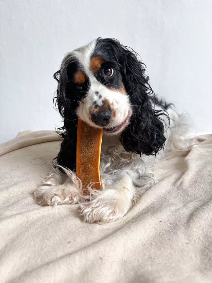 Asta de ciervo ahumada con jamón y partida - Imagen 4